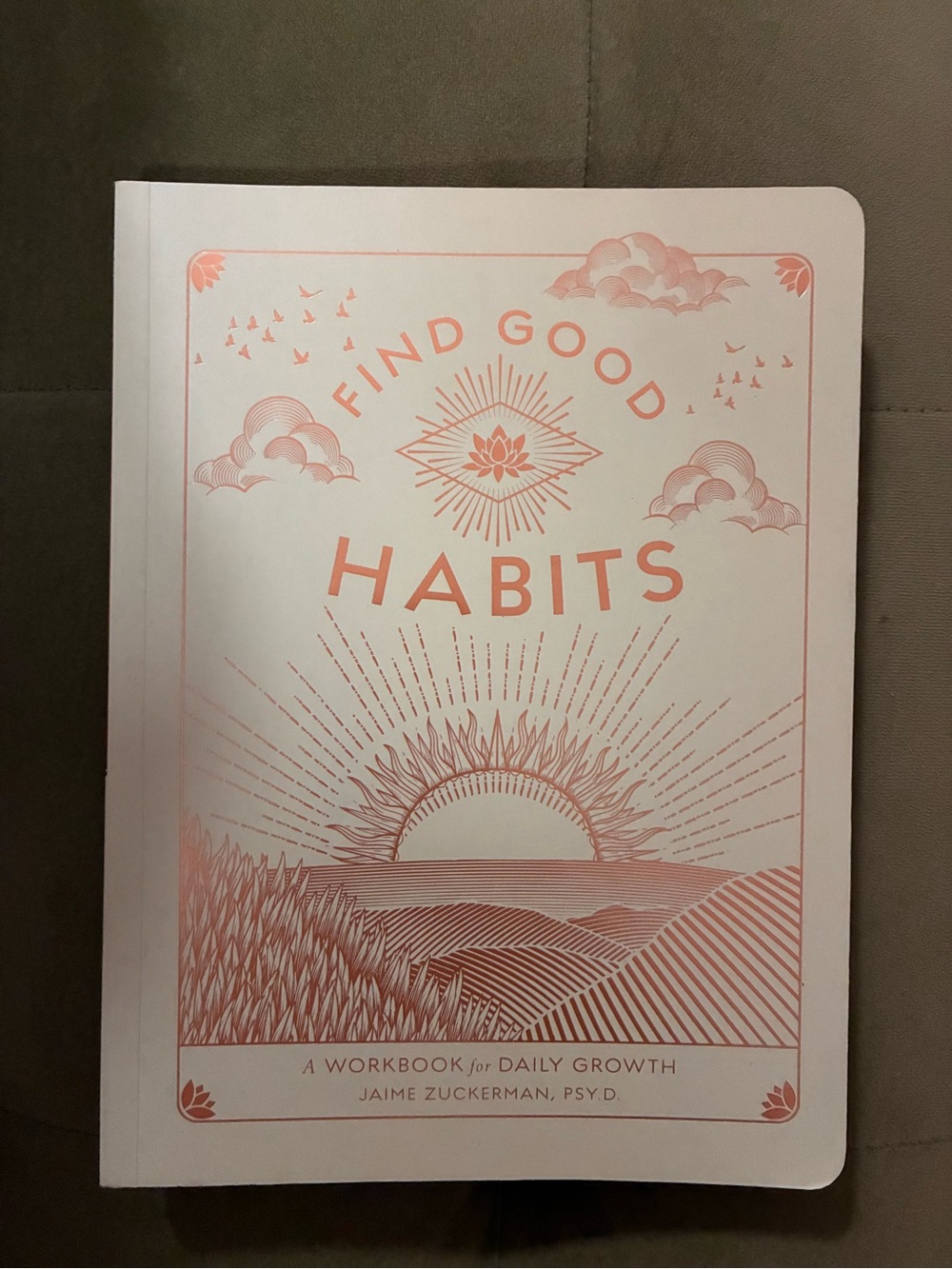 Brand new Find Good Habits Workbook - Peach Cover